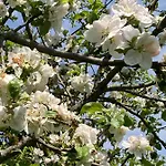 Oberstoeberl * Bischofswiesen