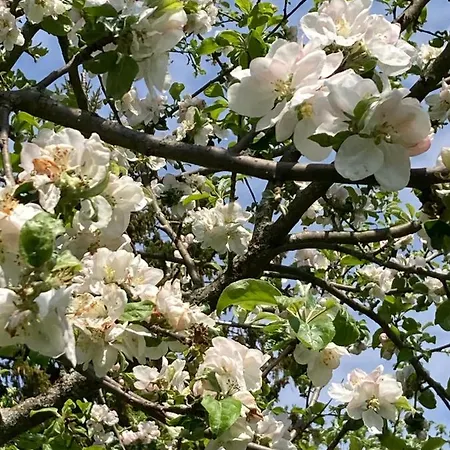 Oberstoeberl * Bischofswiesen
