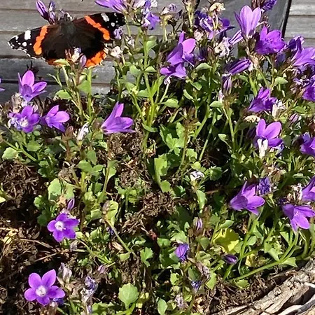 公寓 Oberstoeberl *