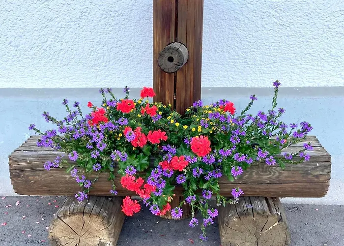 Daire Oberstoeberl *